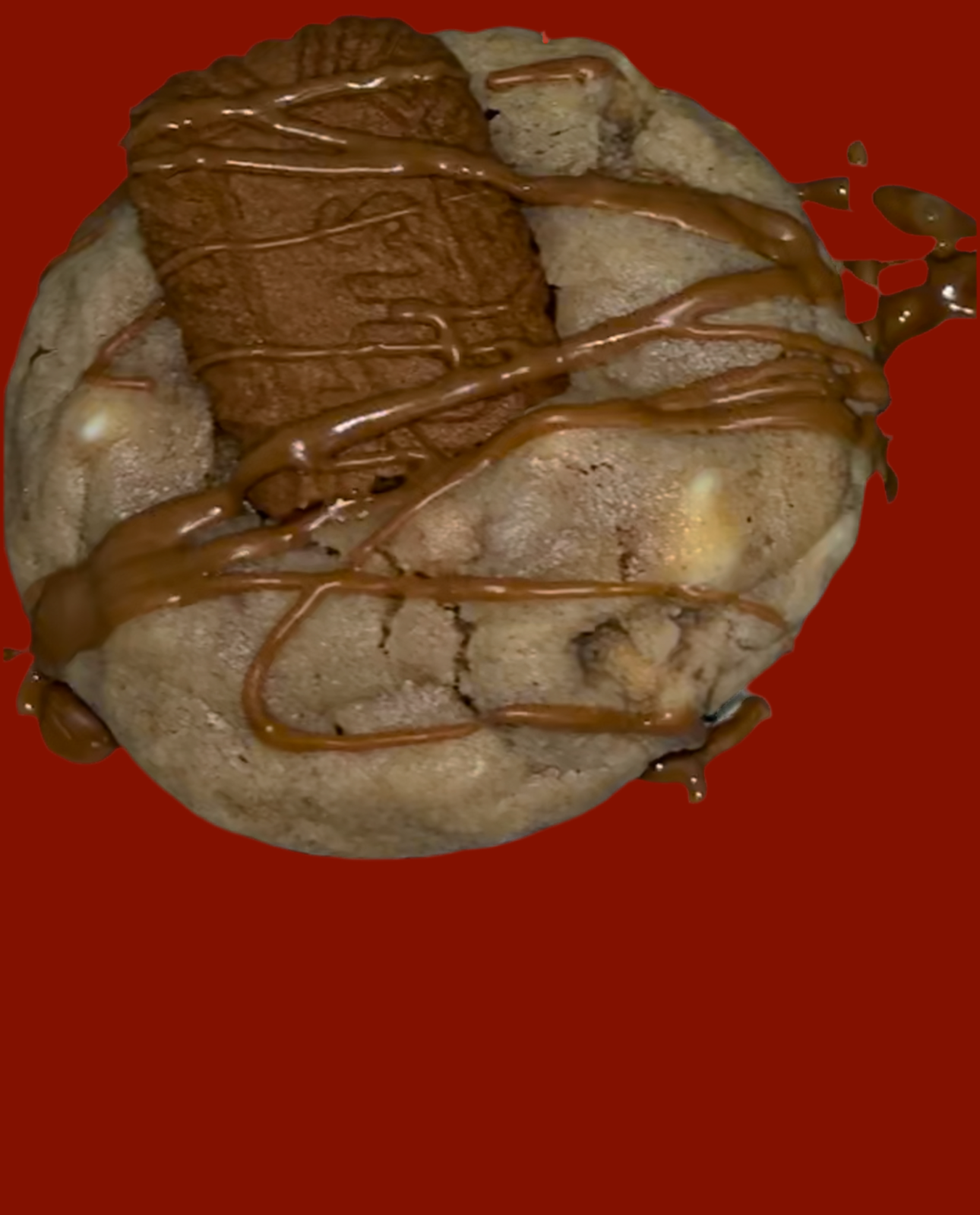 BISCOFF LOTUS