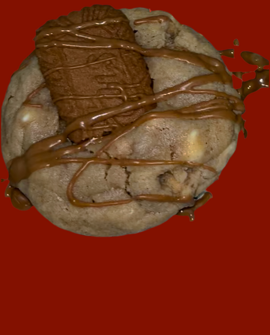 BISCOFF LOTUS